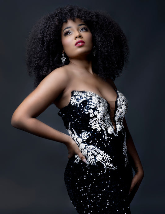 Hollywood Black Sequin Gown