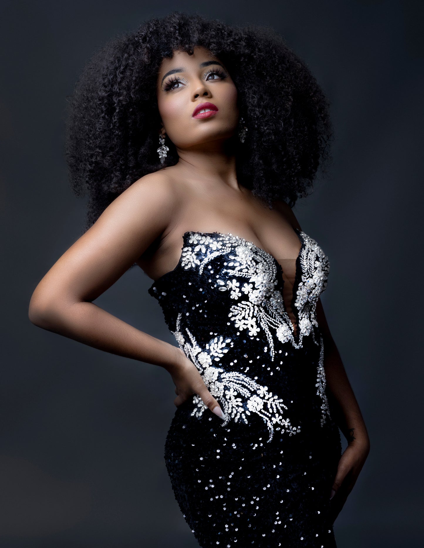 Hollywood Black Sequin Gown